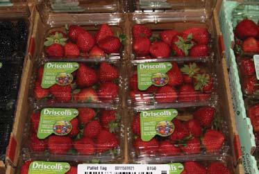 Flavor has been great, especially on the Driscoll s brand fruit! California and Southeast Organic Blackberry supplies are ramping up and prices are starting to align for big June promotions.