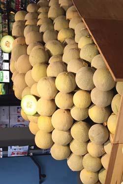 OG MELONS California Organic Cantaloupes, Honeydew, and Galia Melons are in excellent supply with promotional opportunities now available.