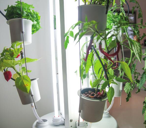 INDOOR GARDENING SYSTEM Imagine food that s never travelled further than from your kitchen to your plate. With the nutritower, that s possible starting today.