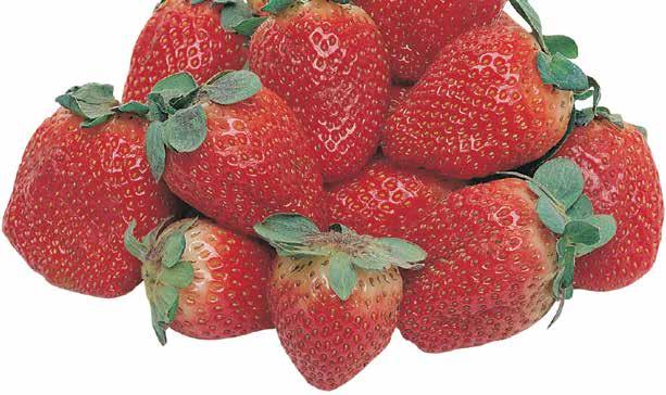California Red Ripe Strawberries lb.