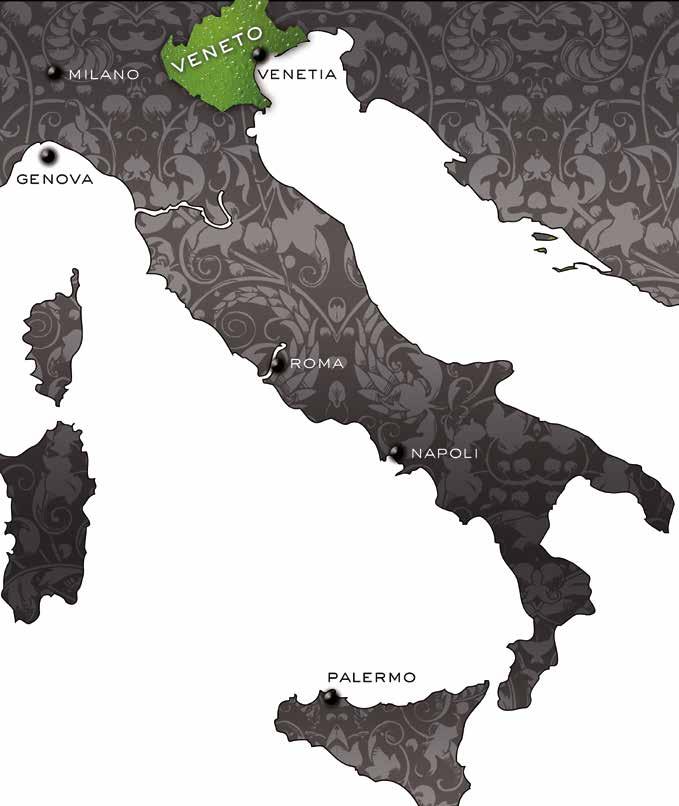 the Veneto region a