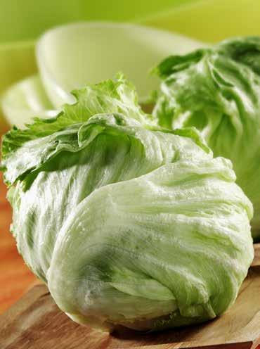 Produce (continued) Lettuce: Butter Supplies are lighter than normal. Demand is good, and quality is average. Green and Red Leaf Red leaf quality is good. Demand is average, and supplies are normal.