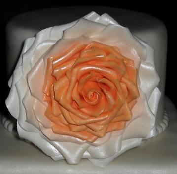 SugarPaste Rose Pictured: Finished two-toned Rose (left), Assorted roses (right) $75.