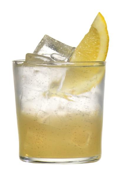 Camitz Sparkling Limon Rocks Lemon wedge Pour all ingredients into ice-filled (except Camitz Sparkling Vodka).