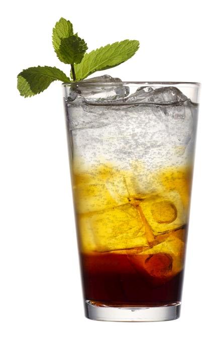 Camitz Sparkling Jägermeister High ball Mint sprig Pour jägermeister into ice-filled, then layer Red Bull and Camitz Sparkling Vodka by carefully