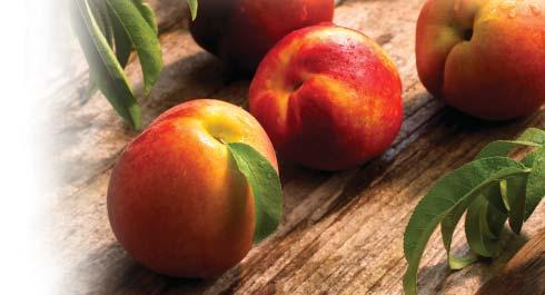 PRODUCE 1.99lb. Tree-Ripened Yellow Peaches or Nectarines 3lbs.