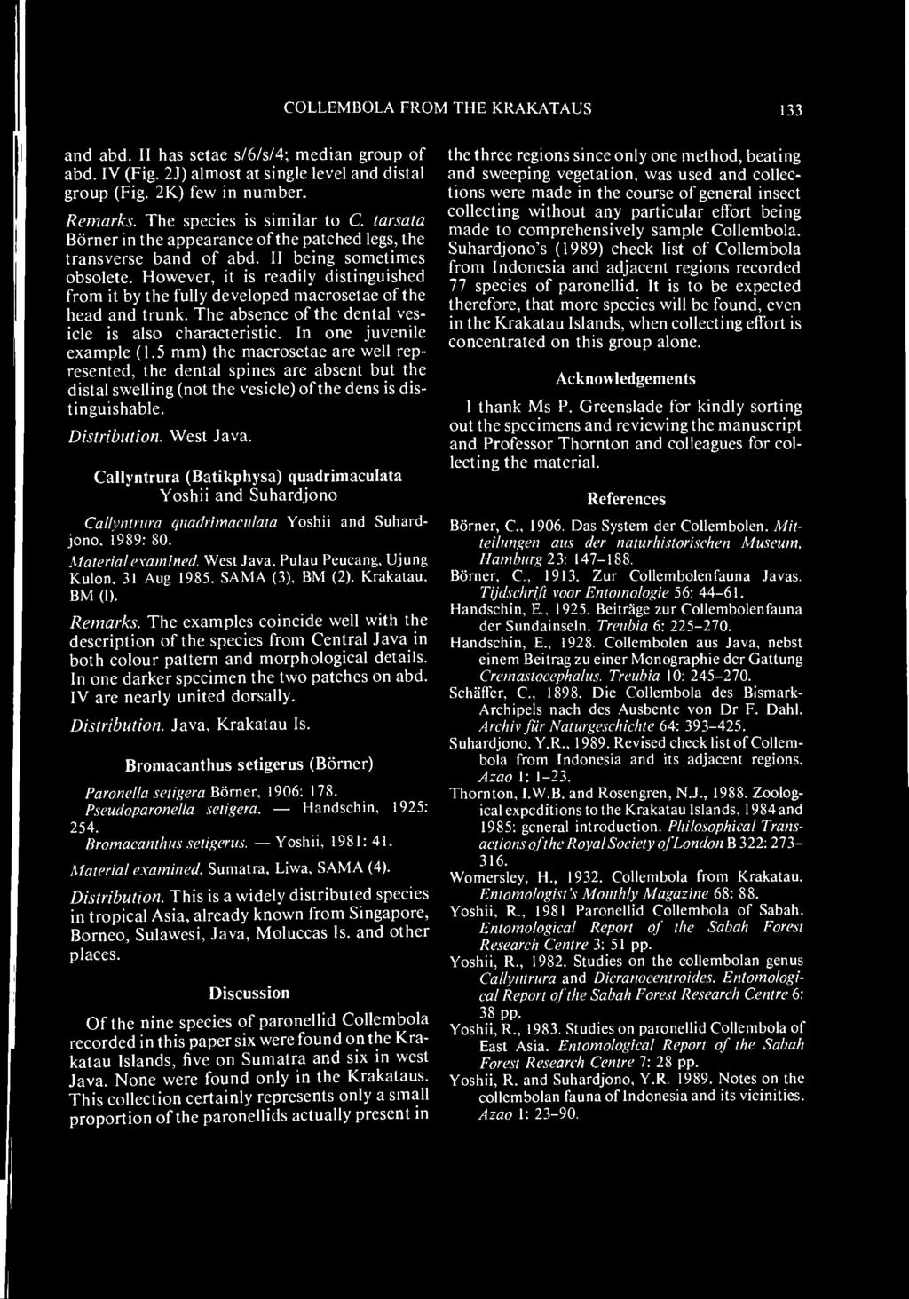 Callyntrura (Batikphysa) quadrimaculata Yoshii and Suhardjono Callvntrura quadrimaculata Yoshii and Suhardjono. J989: 80. Material examined. West Java, Pulau Peucang. Ujung Kulon. 31 Aug 1985.