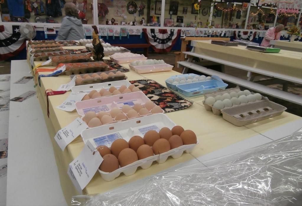 EGGS Open To All Exhibitor Having Less Than 3,000 Laying Birds.
