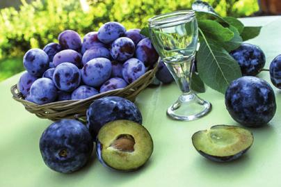 Posebna svojstva ovoga pića proizlaze iz specifičnih svojstava grožđa koje se koristi u proizvodnji.