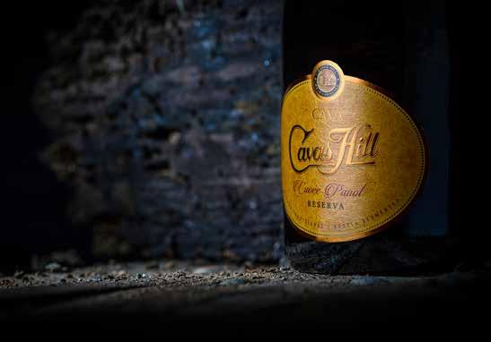 The quality sparkling wine Cavas Hill originates in Moja in