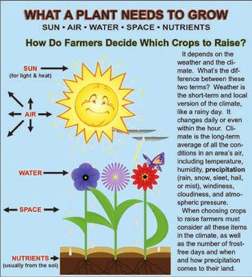 we use in our daily lives come from agriculture. Much of agriculture is growing and harvesting plants. We cannot live without plants.