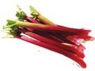 Rhubarb loves being cool, even in places like Siberia and Alaska! It is a perennial plant that is very winter hardy and resistant to drought.