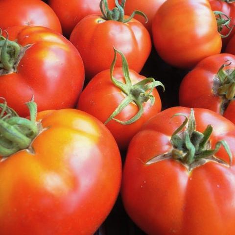Slicers and Mid-Size Tomatoes Cosmonaut Volkonov: Delicious