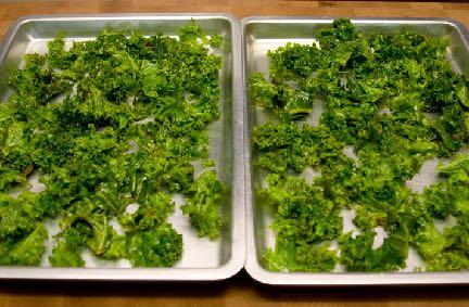 Veggies 101: All About Kale Step 6: Spread the kale on to a large cookie sheet. Use two if necessary.