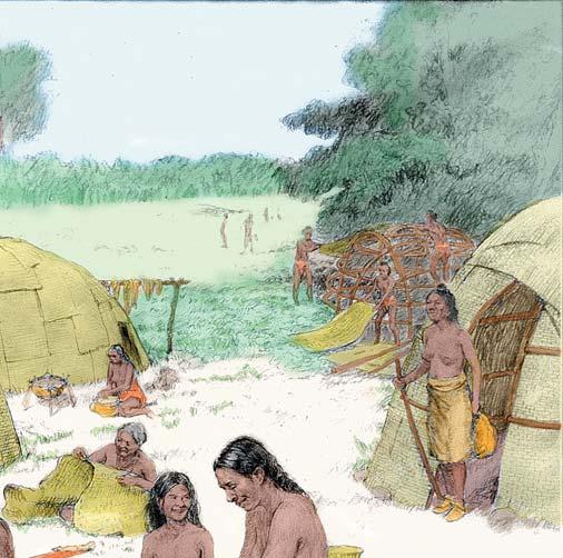 Maize was smaller than modern corn. food supply. They used tools such as digging sticks for planting. One food they planted was corn, although it was not yet the main food.