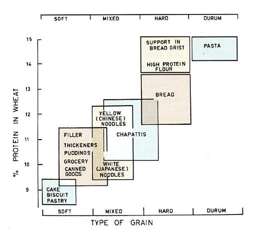 Figure 1.1. Wheat Types and Types of Products Varying in Protein Content (Reprinted from Delcour, J.A. and Hoseney, R.C. 20