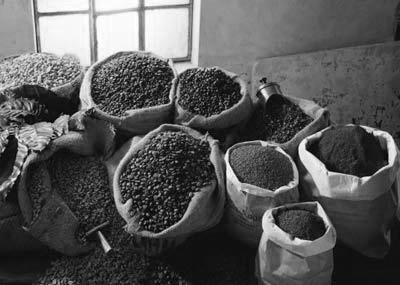GLOBAL COFFEE FORUM Coffee, good life On the