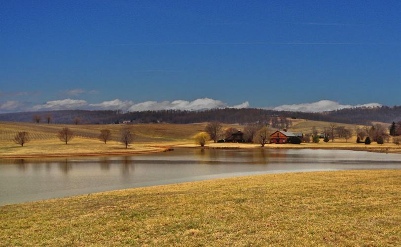 NESTLED within the eastern slopes of the Blue Ridge Mountains in Charlottesville, this sprawling 901+/- acre property will be offered in six tracts and selling absolute.