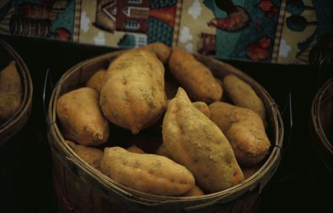 Sweet Potato Ipomea batatas Family: Convolvulaceae Type: Tuberous root Native to