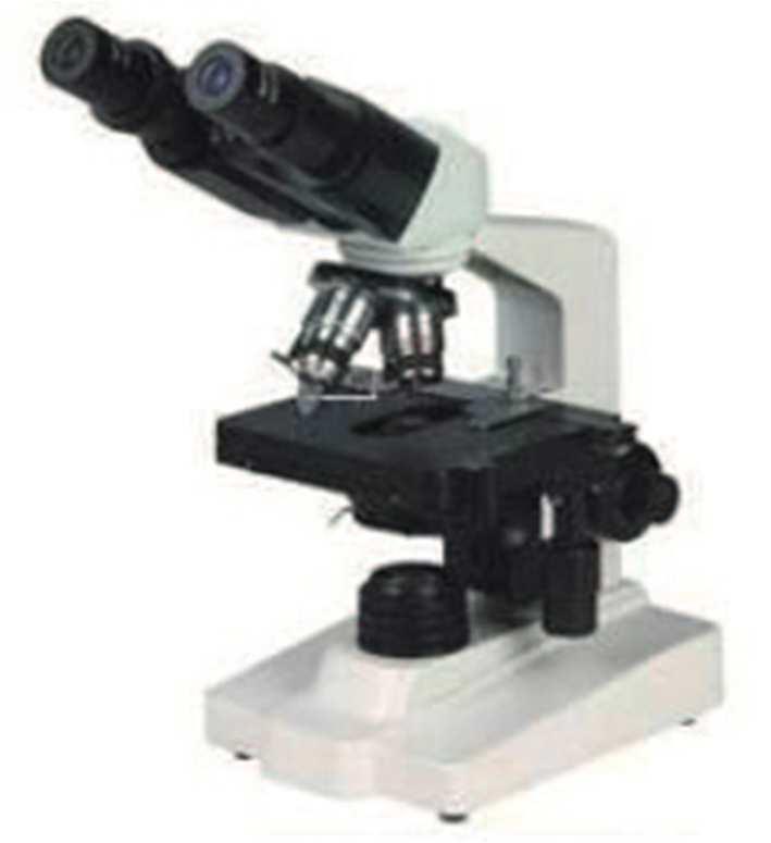 microscope x40