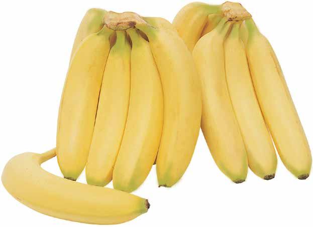 Bananas 49 Fruits &