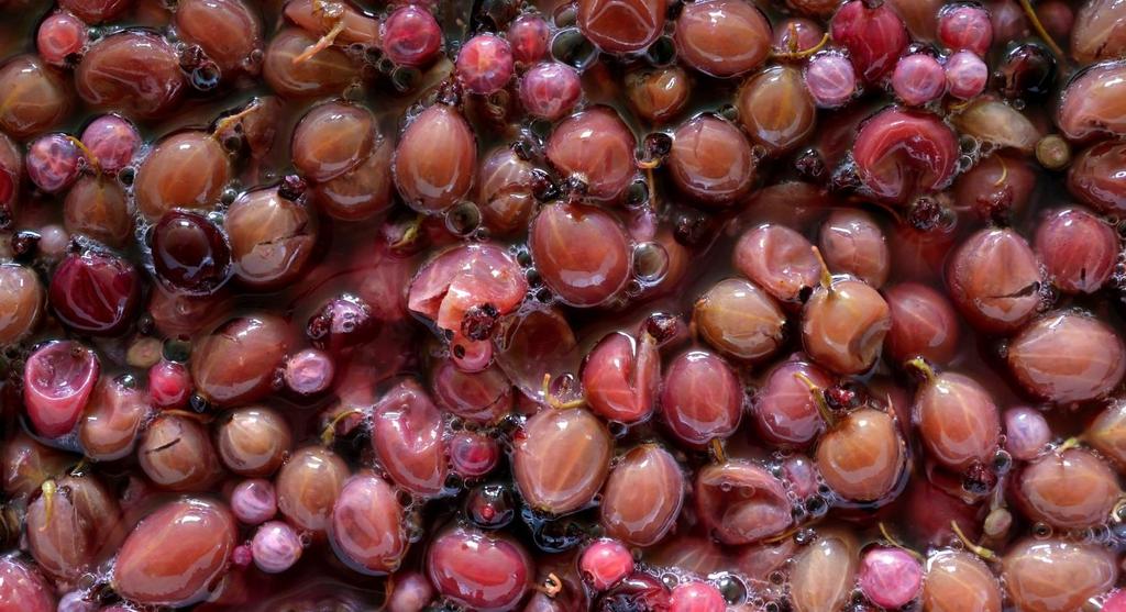 Crushed & Dried Grape Skins The GenuWine Winery Grape Skins included in our three red wine kits are made through a patented process of gently After top quality must, yeast is the most important