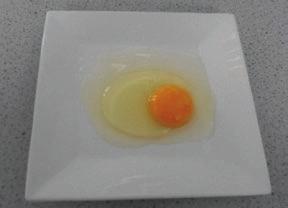 Task 1 Food Investigation Candidates will be required to investigate, research and evaluate the working characteristics, functional and chemical properties of eggs (before carrying out the