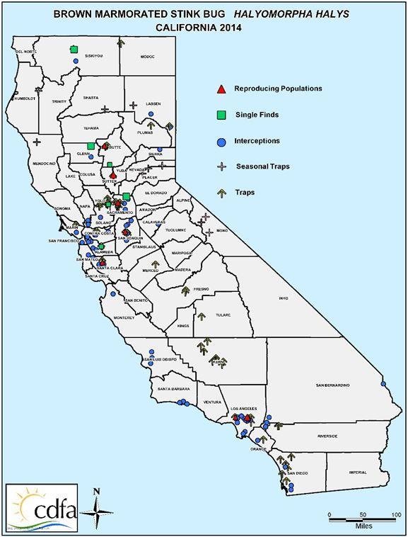 BMSB in California >$50 billion Top agricultural counties are in the Central Valley, other valuable crops throughout the state