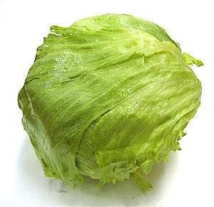Iceberg - lettuce is by far the major type.