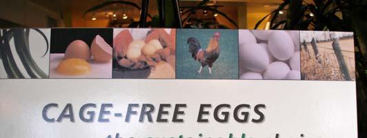Cage-Free Eggs Poster on display at Phoenix Grille, during pilot program in Spring 2007, before UCI Dining switched entirely to 100% Organic, Cage-Free Eggs (at all ARAMARKmanaged locations.