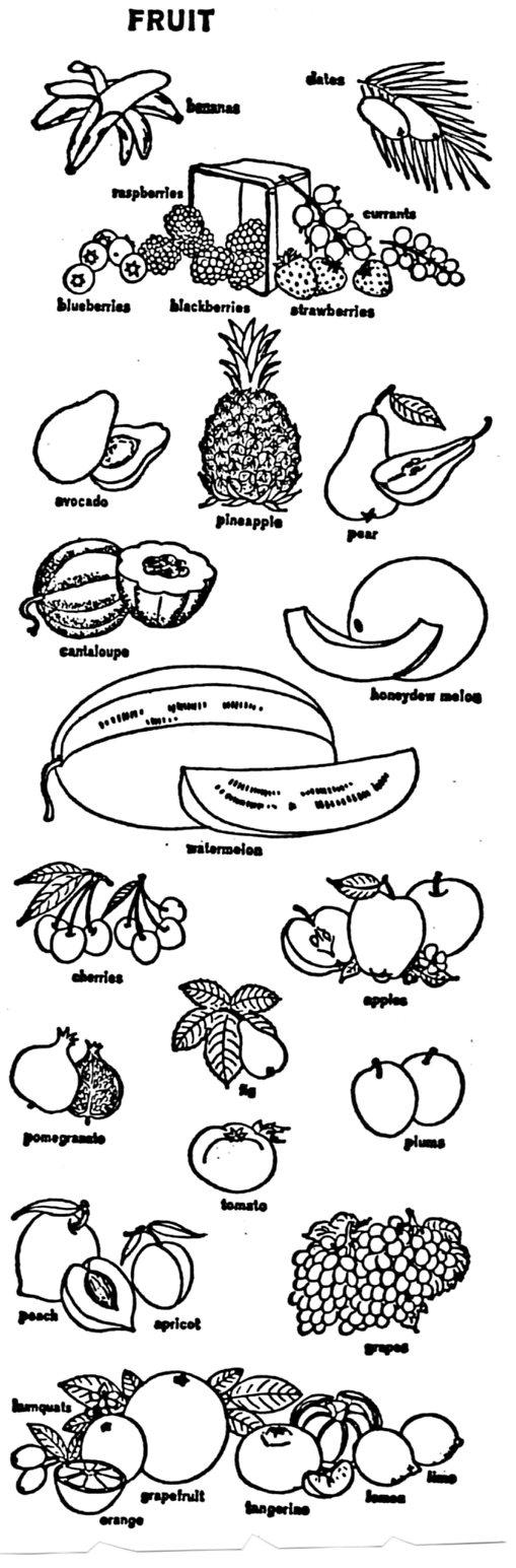APPLE PROJECTS/Student Apple Book. Fruit chart. p.17. fruit n. fruits, pl. The seed vessel of certain plants.