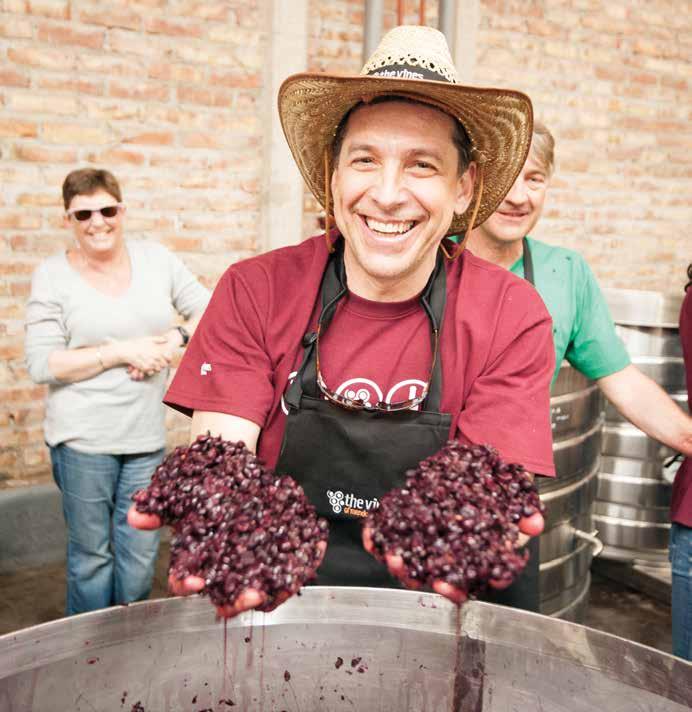 Be as involved as you like in all phases of winemaking, from planting