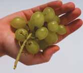 1 handful or 3 heaped tablespoons of small fruits or vegetables, like grapes, strawberries or peas.