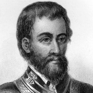 Specifically, Hernando (Above) European de Soto brought thirteen pigs with him to explorer Hernando de Soto. Florida an within three years the pigs had reached a population of over 700.