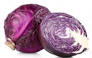 50 Cabbage Farao F1 Organic Seed Early mini cabbage Delicious spicy sweet flavoured early cabbage with good standing ability (i.e. slow to split).