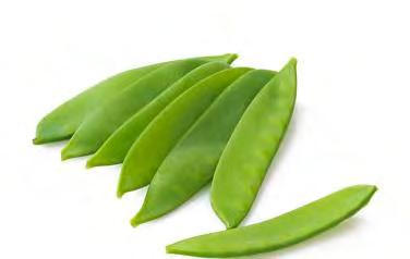 00 Not for Tasmania Shelling Pea, Willow New productive variety Willow is a fabulous new variety of shelling pea.