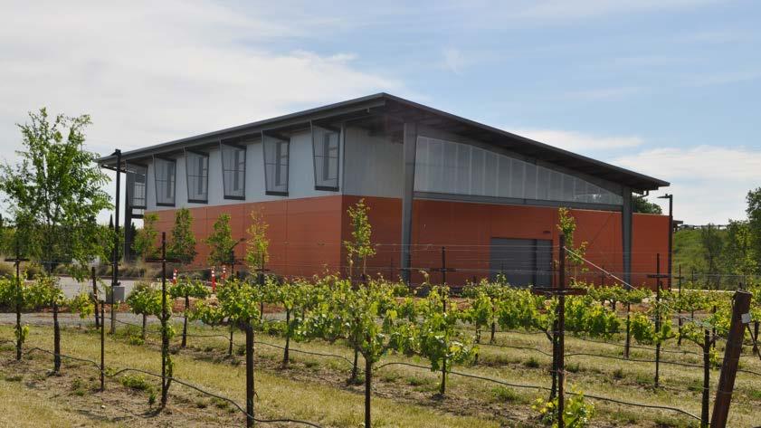 Department of Viticulture and Enology Completed February 2013 Jess S.