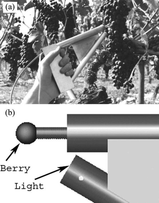 A Multipurpose Portable Instrument for Determining Ripeness in Wine Grapes Using NIR Spectroscopy Larrain, M.