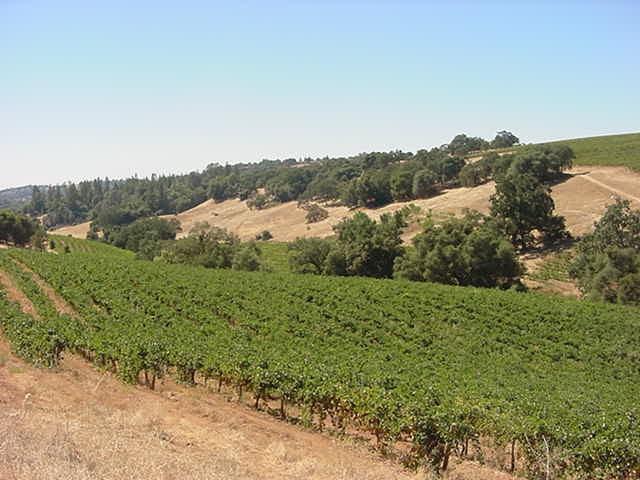 Irrigation is supplied from the Amador Water Agency via aqueduct