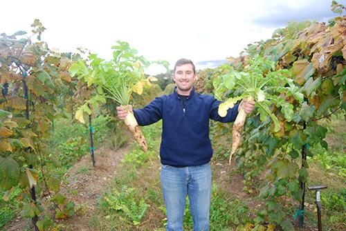 (Riverhead), The Baker Farm (Willsboro, NY), Cornell Horticulture s Lansing Research farm (E. Cayuga Lake), and the NYS Agricultural Experiment Station (Geneva, NY). Clonal Riesling Evaluation.