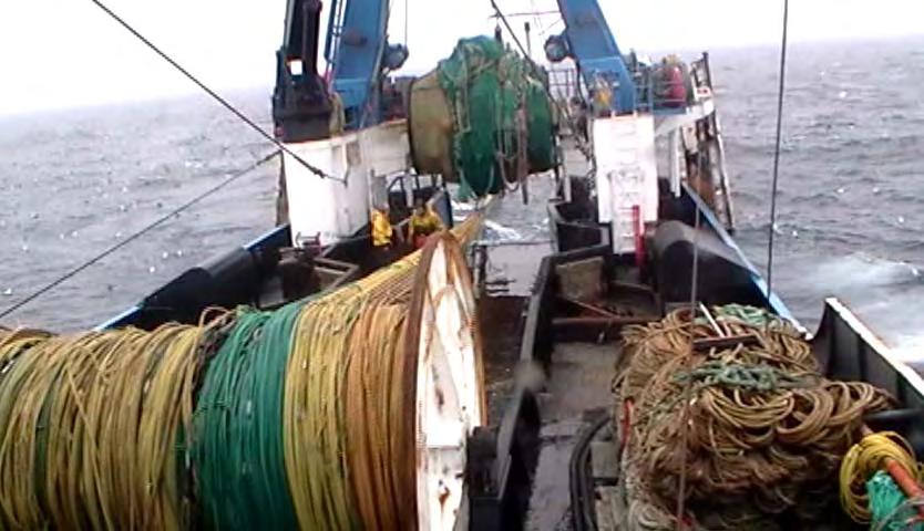Institutional Structure and Profit Maximization in the Eastern Bering Sea Fishery