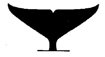 The head of fin whales is much more pointed than that of blue whales, and the dorsal fin is set further back and rises at a shallower angle than those of sei or Bryde s whales.