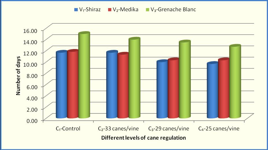 Fig.1 Influence of cane regulation