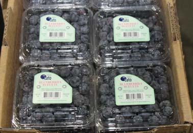 Driscoll s Blueberries from Mexico are up in price but are the best quality fruit right now. CV MANGOS ALERT!