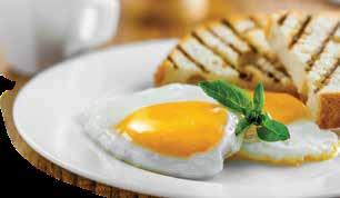 HUNGRY FOR EGGS Served until 2:30 Served with choice of homefries, hash browns, grits, *oatmeal or sliced tomato & bagel, bialy or toast Add $1.00 For egg beaters or egg whites TWO EGGS (any style).