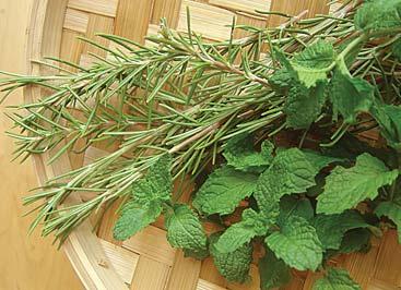 As a rule of thumb, use 1 teaspoon of dried herbs for 1 tablespoon of fresh herbs. For example, if a recipe calls for 3 tablespoons of fresh basil, use 3 teaspoons of dried basil.
