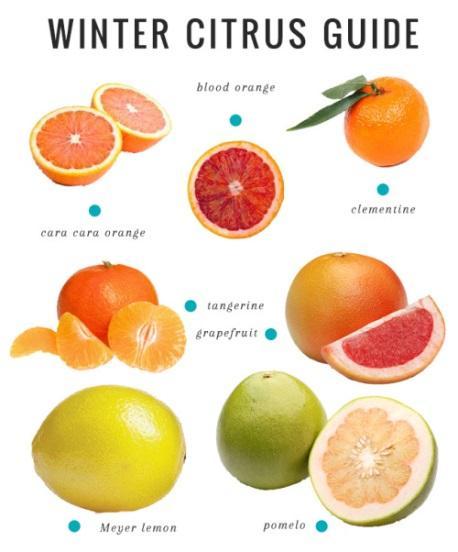 Citrus fruits Orange trees produce more than any other