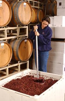 129 Winemaking in New York State Red vinifera varieties are grown primarily on Long Island with the exception of Pinot Noir and Cabernet Franc, whose acreage is divided among Long Island, the Hudson