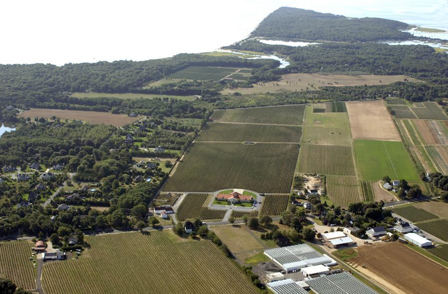 41 History and Profile of New York s Viticultural Areas LONG ISLAND In July 16, 2001 a viticultural region named Long Island was established to encompass the two sub-regions of The Hamptons and The