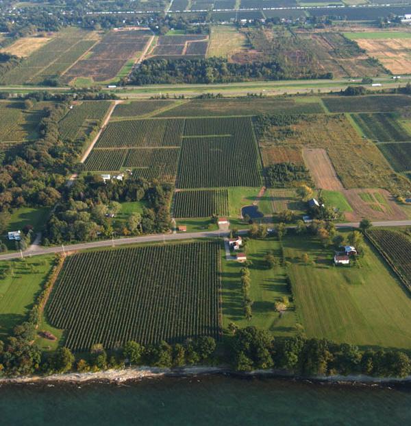 66 History and Profile of New York s Viticultural Areas years after the Deacon made his first wine, his son opened the first of several wineries in the region.